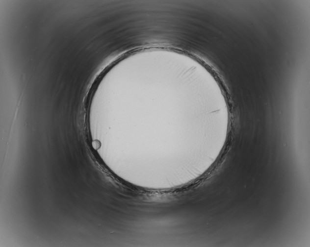 X0000103970933200810311521
