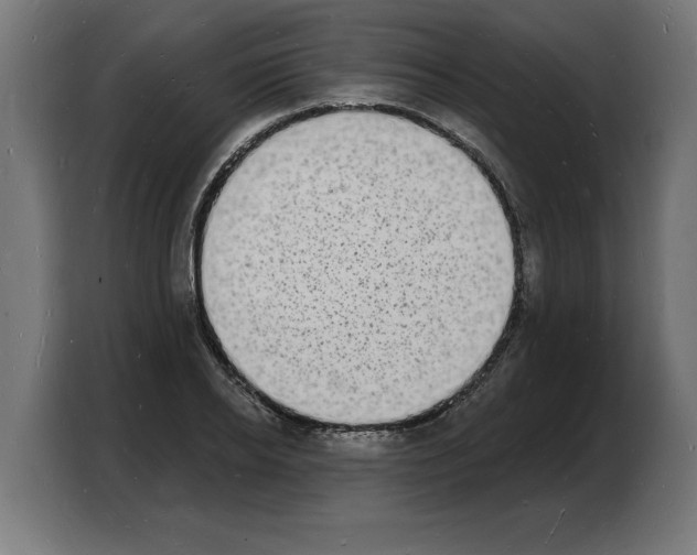 X0000103970934200810311521