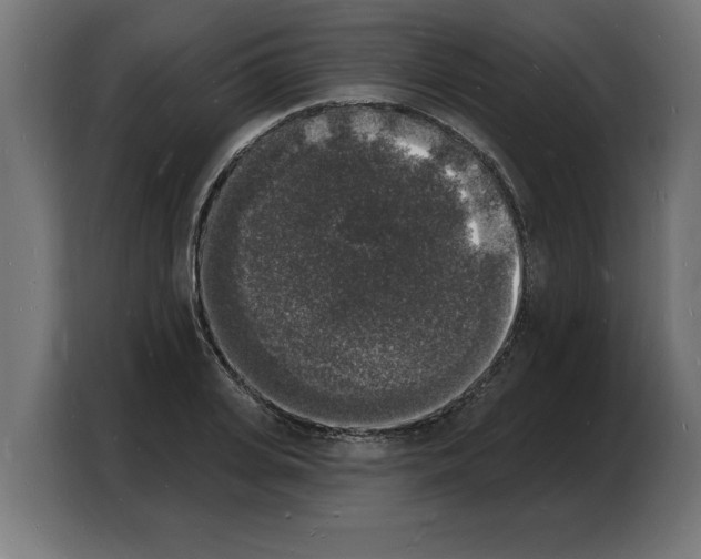 X0000103970935200810311521