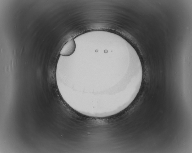 X0000103970937200810311521