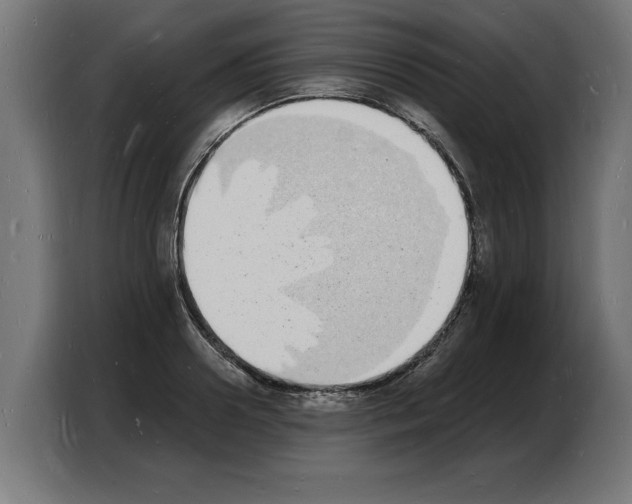 X0000103970938200810311521