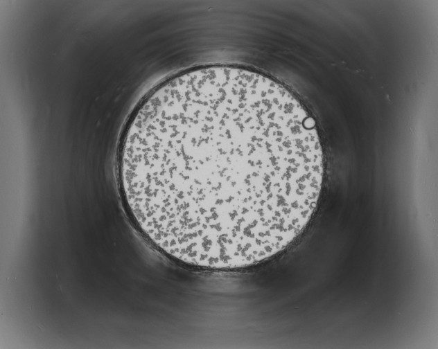 X0000103970942200810311522
