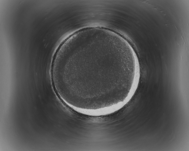 X0000103970943200810311522