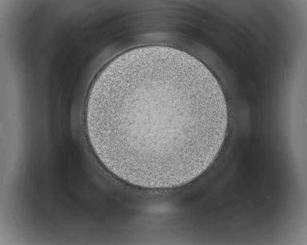 X0000103970944200810311522