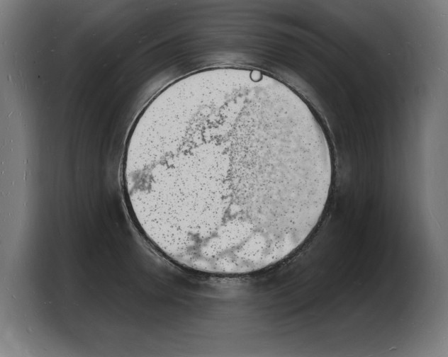 X0000103970946200810311522
