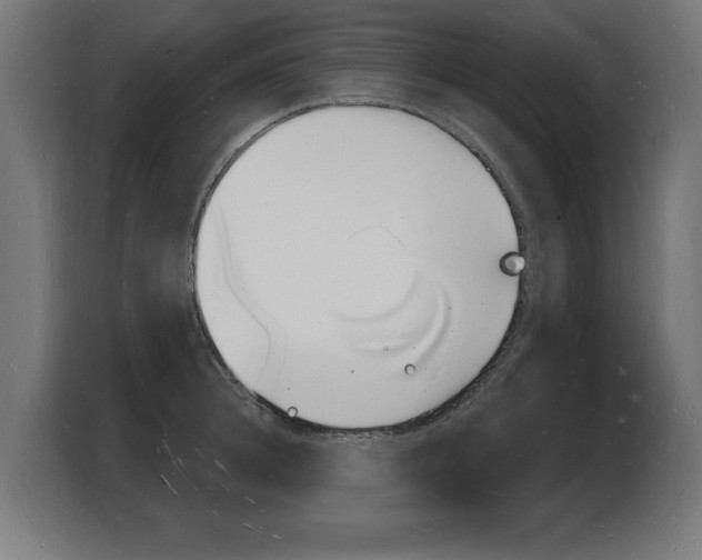 X0000103970948200810311522