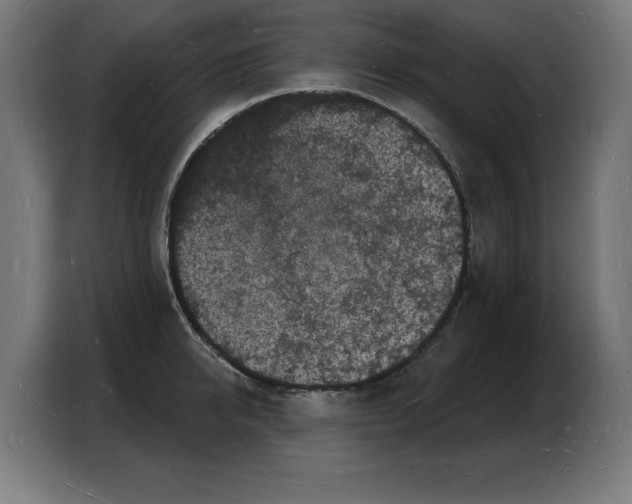 X0000103970950200810311522
