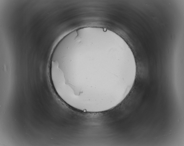 X0000103970952200810311522