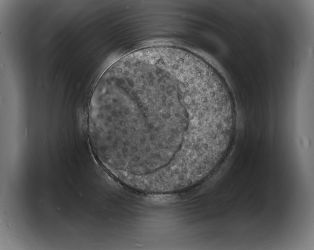 X0000103970953200810311522