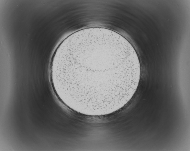 X0000103970955200810311522