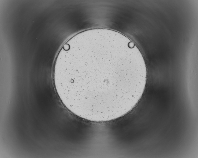 X0000103970956200810311522