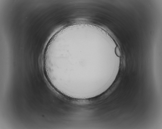 X0000103970957200810311522