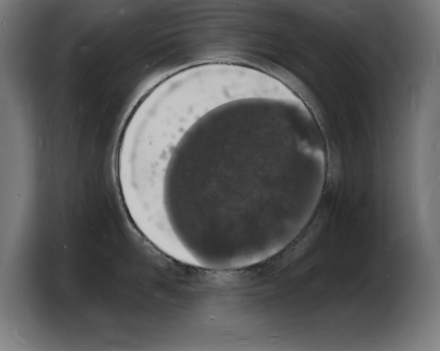X0000103970958200810311522