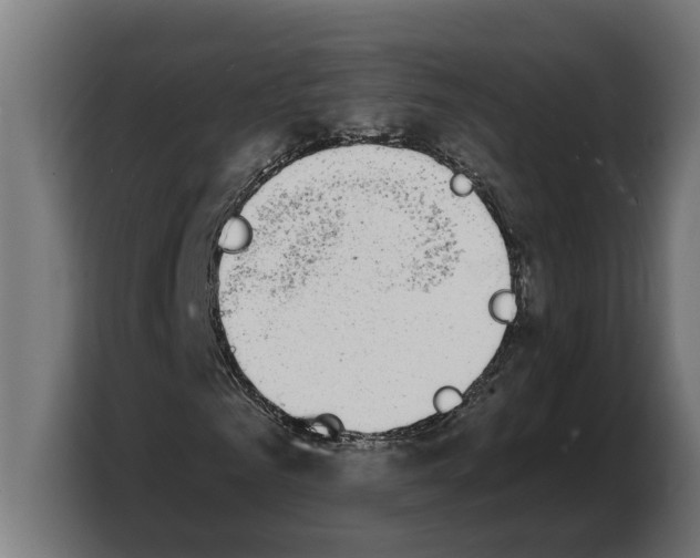 X0000103970961200810311521