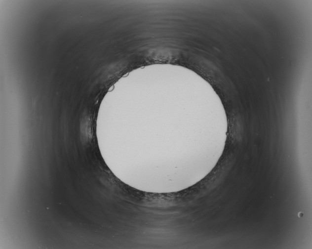 X0000103970962200810311521