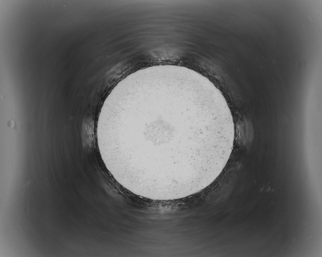 X0000103970963200810311521
