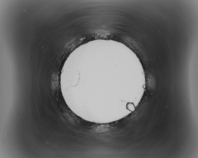 X0000103970964200810311521