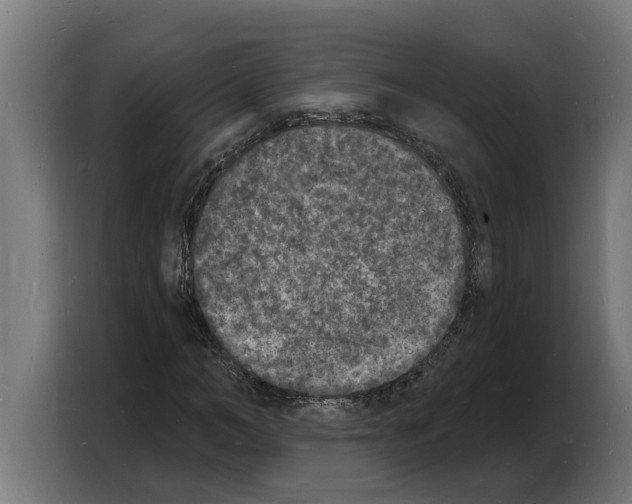 X0000103970966200810311521