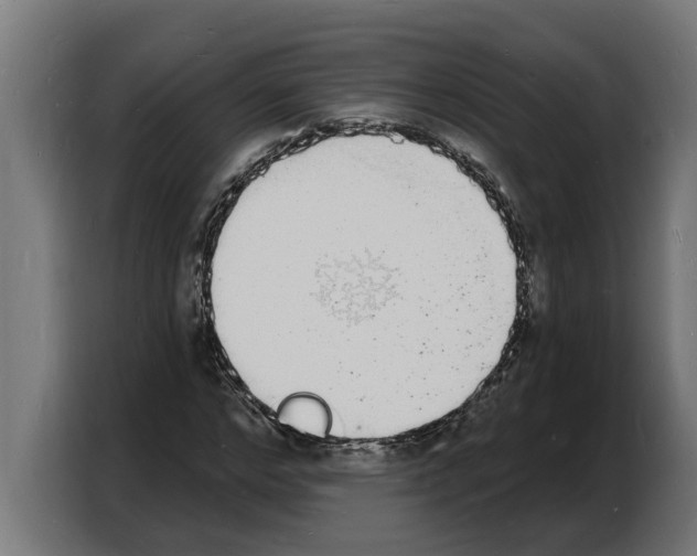 X0000103970968200810311521