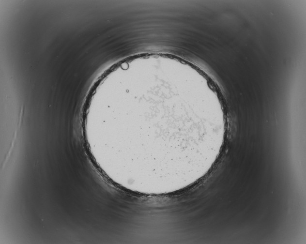 X0000103970972200810311521
