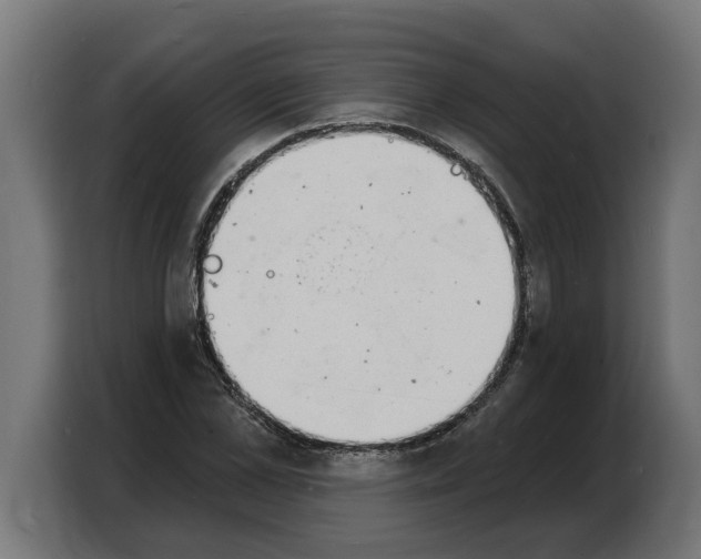 X0000103970973200810311521