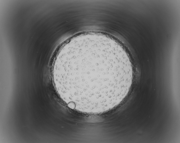 X0000103970974200810311521