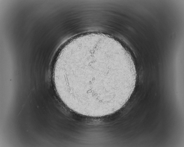 X0000103970975200810311521