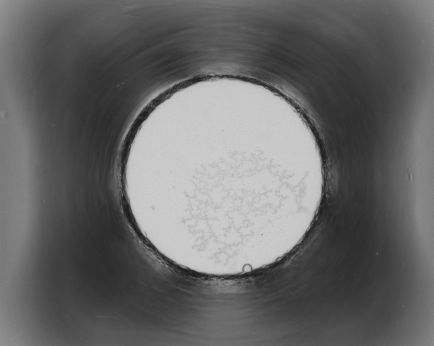 X0000103970976200810311521