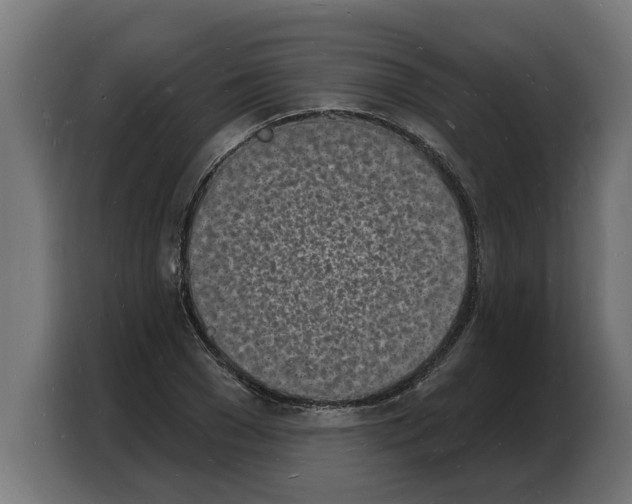 X0000103970977200810311521