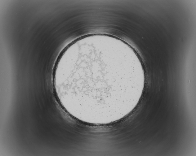 X0000103970980200810311521