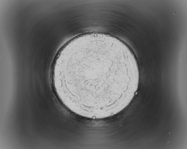 X0000103970983200810311521