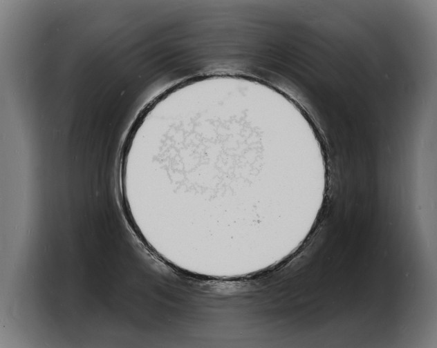 X0000103970984200810311521