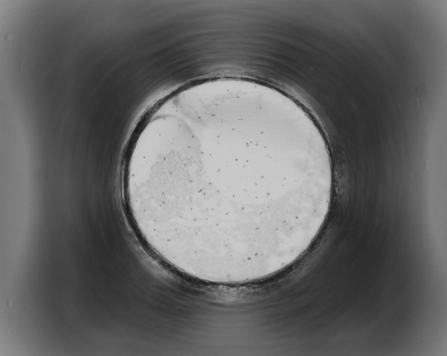 X0000103970987200810311521