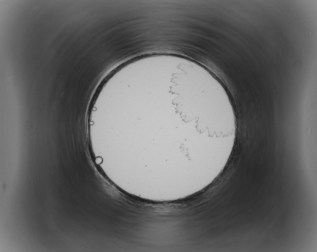 X0000103970988200810311521