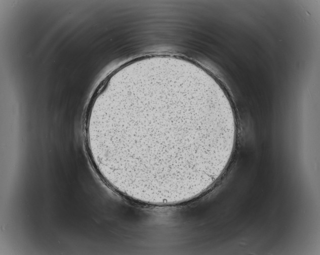 X0000103970989200810311521