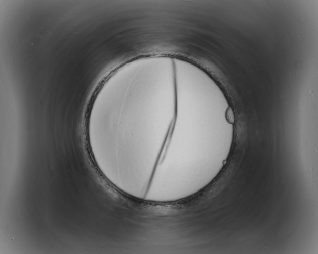 X0000103970990200810311521