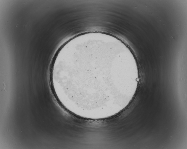 X0000103970991200810311521