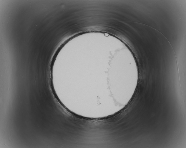 X0000103970992200810311521