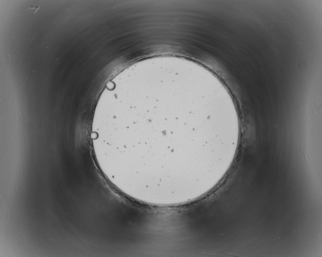 X0000103970993200810311521