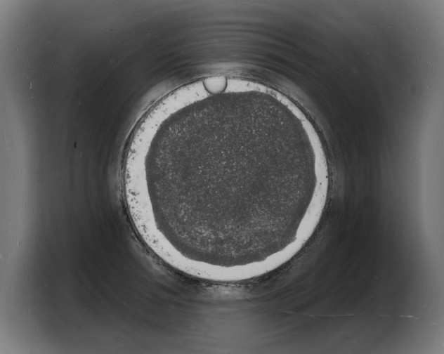 X0000103970994200810311521