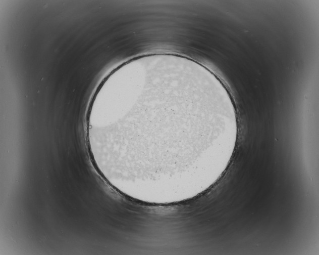 X0000103970996200810311521