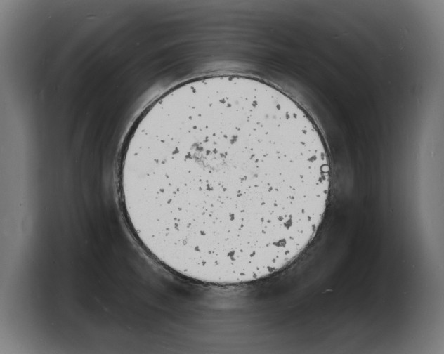 X0000103970997200810311521