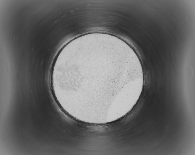 X0000103970999200810311521