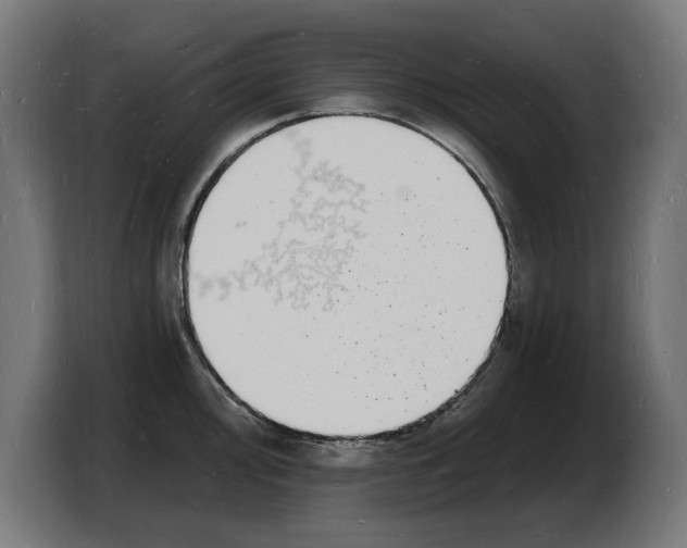 X0000103971000200810311521