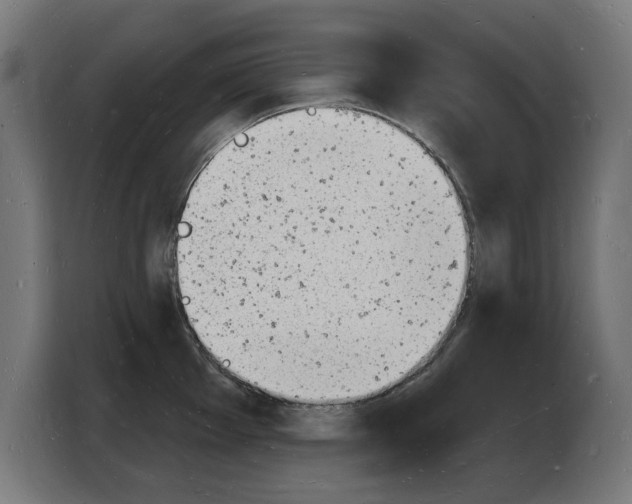 X0000103971001200810311521