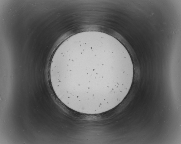 X0000103971002200810311521