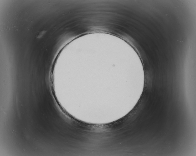 X0000103971003200810311521