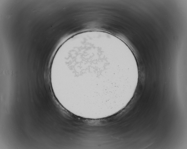 X0000103971004200810311521