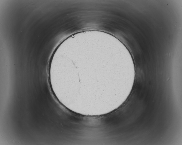 X0000103971005200810311521