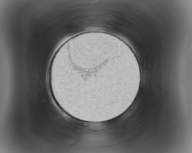 X0000103971007200810311521